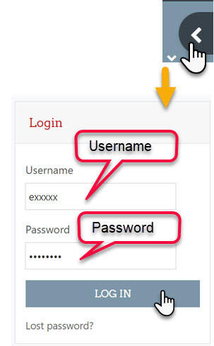 Login Option 2