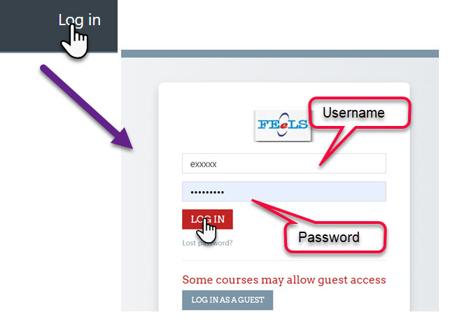 Login Option 1